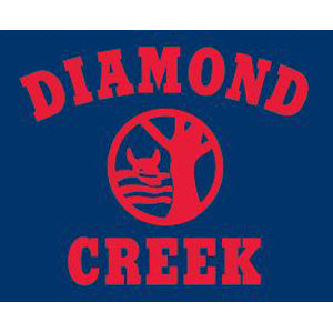 Diamond Creek Primary School