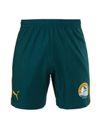 Puma Training Short Mens