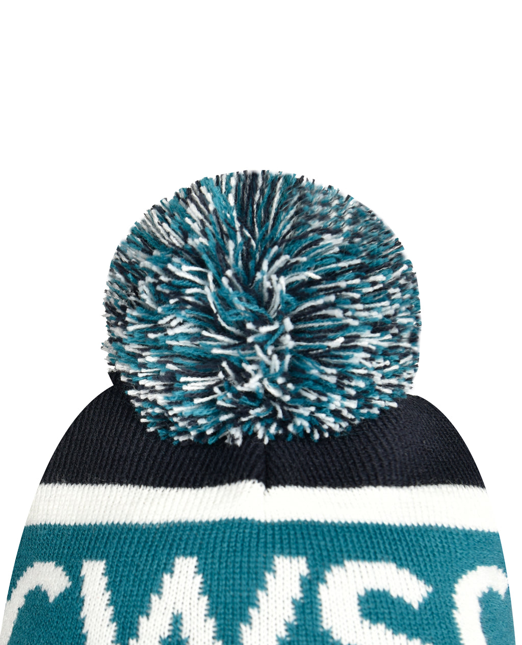 Beanie with Pom Pom