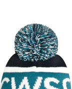 Beanie with Pom Pom