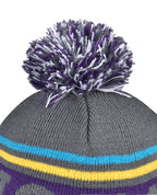 Beanie with Pom Pom
