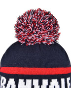 Beanie with Pom Pom