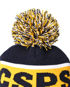 Beanie with Pom Pom