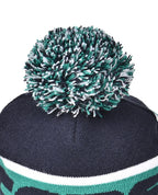 Beanie with Pom Pom