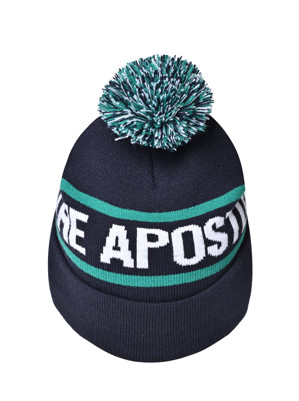 Beanie with Pom Pom