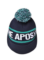 Beanie with Pom Pom