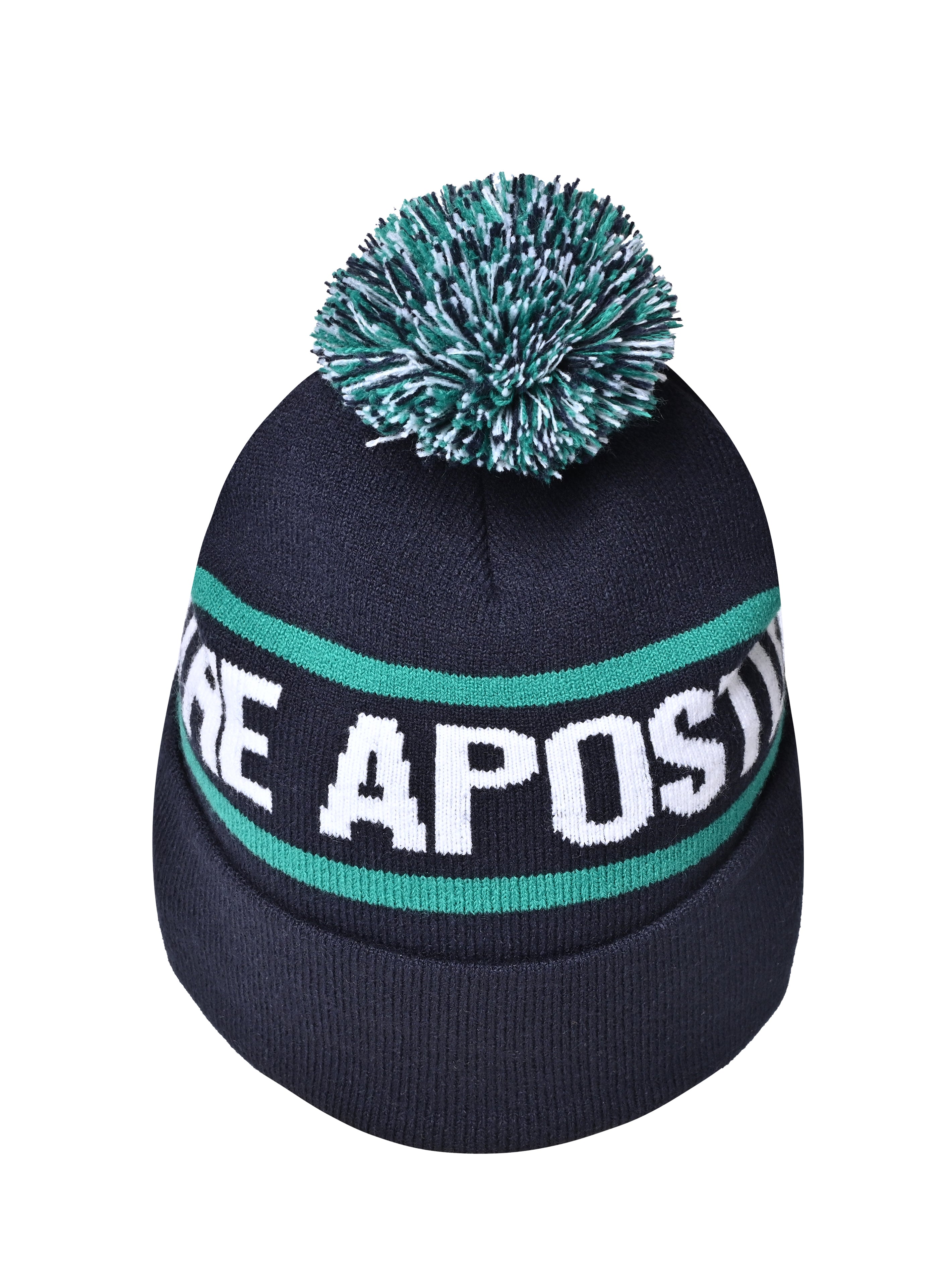 Beanie with Pom Pom