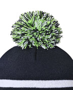 Beanie with Pom Pom