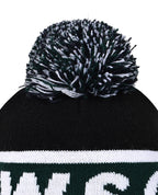 Beanie with Pom Pom