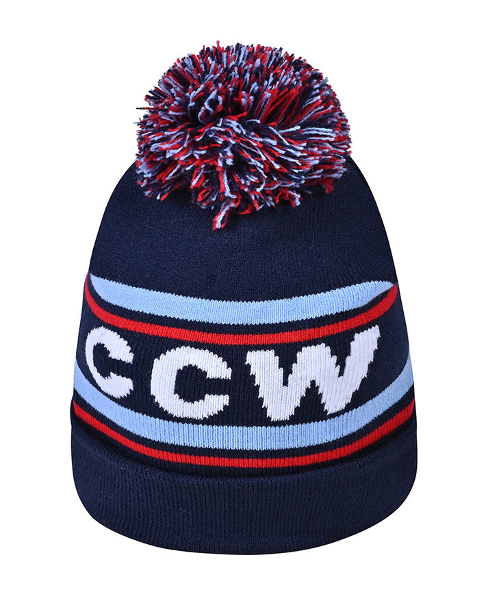 Beanie with Pom Pom