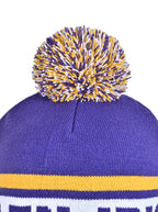 Beanie with Pom Pom