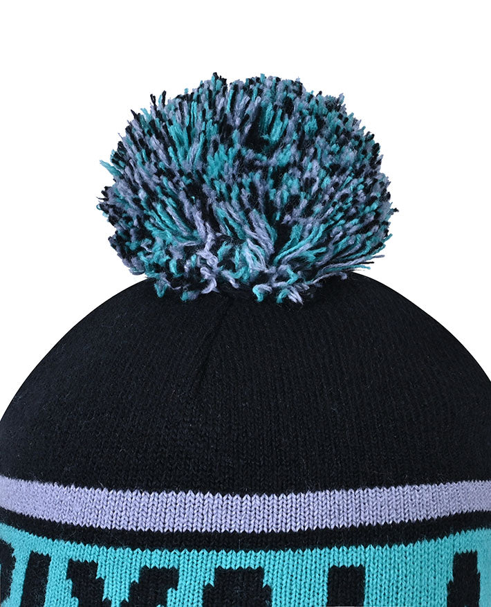 Beanie with Pom Pom