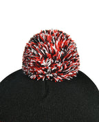 Beanie with Pom Pom