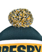 Beanie with Pom Pom