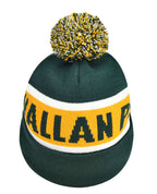 Beanie with Pom Pom