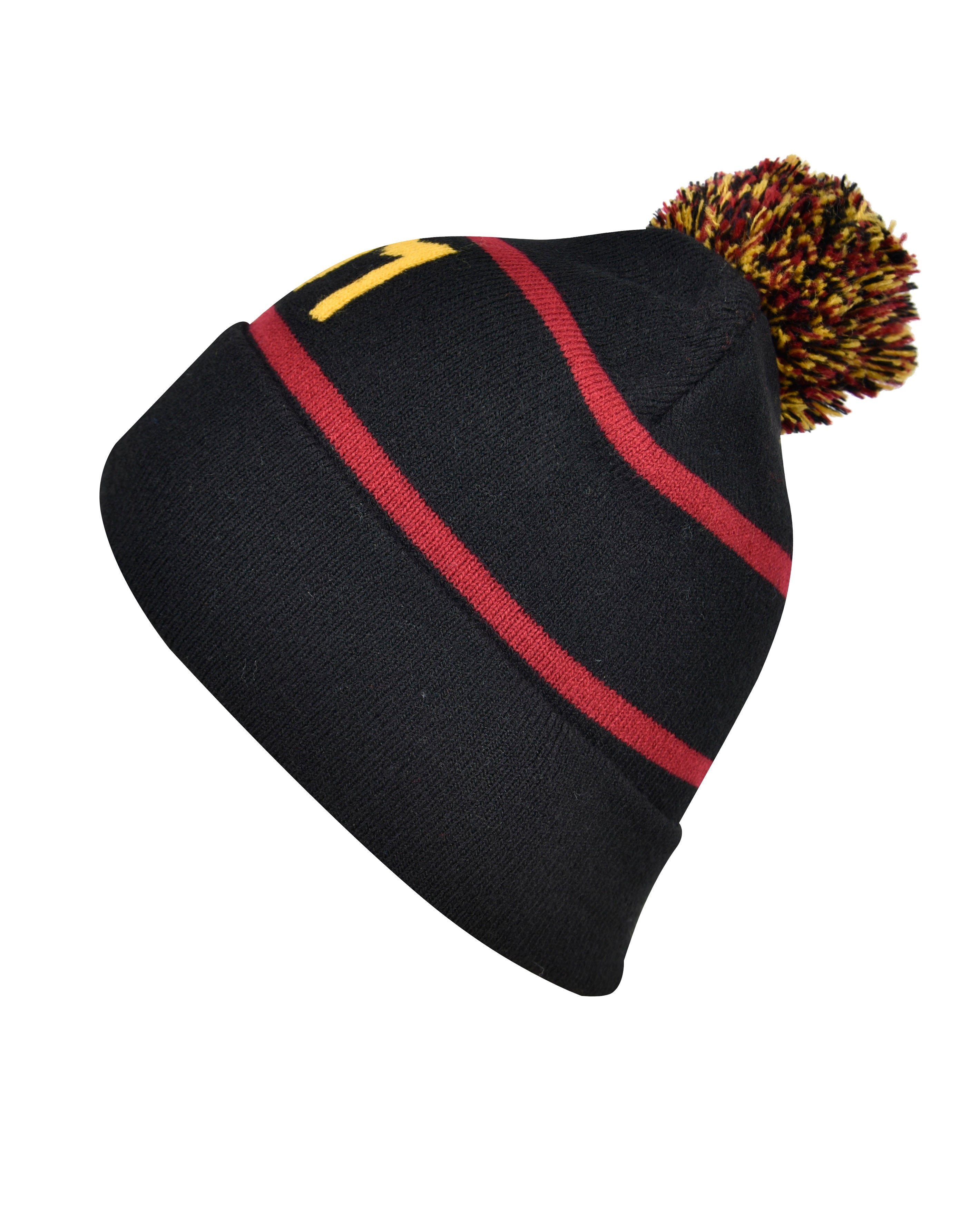 Beanie with Pom Pom