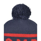 Beanie with Pom Pom