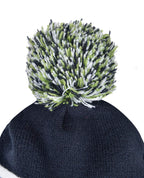 Beanie with Pom Pom