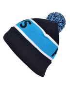 Beanie with Pom Pom