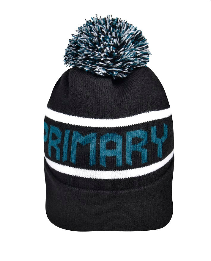 Beanie with Pom Pom