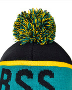 Beanie with Pom Pom