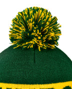 Beanie with Pom Pom