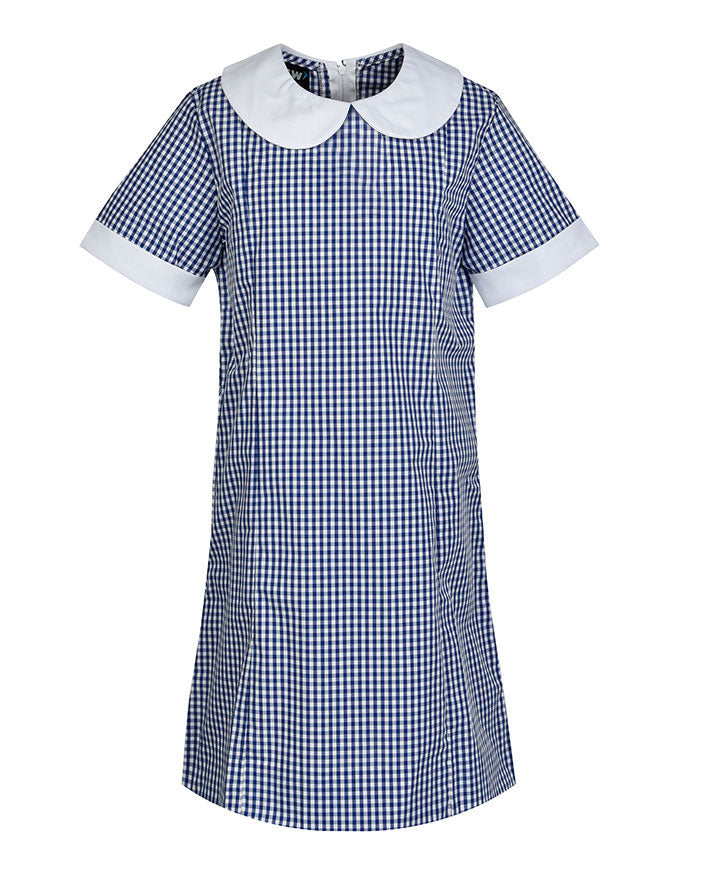 Panel Seam Dress