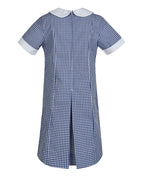 Panel Seam Dress