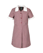 SS Summer A-Line Shift Dress