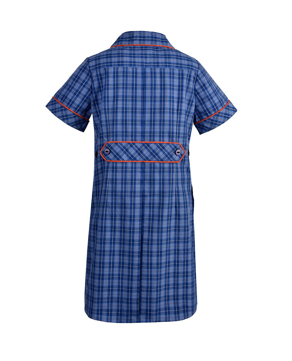 Pleated Dress
