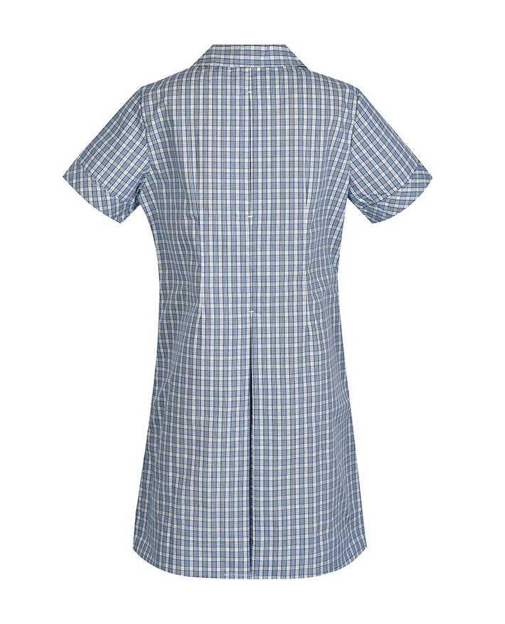 Semi Fit Darted Dress