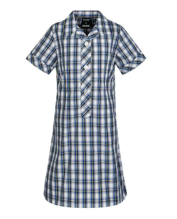 Semi Fit Darted Dress