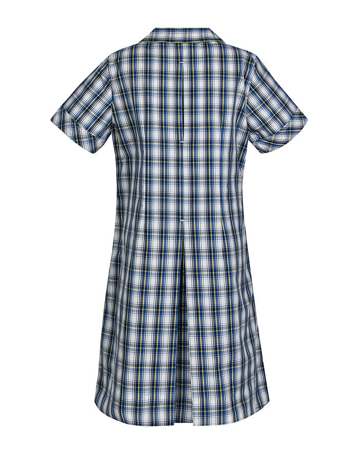 Semi Fit Darted Dress