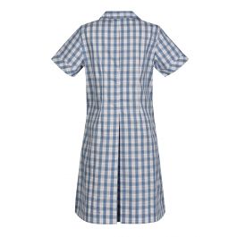 Semi Fit Darted Dress