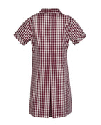 Semi Fit Darted Dress