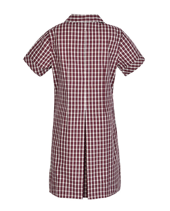 Semi Fit Darted Dress