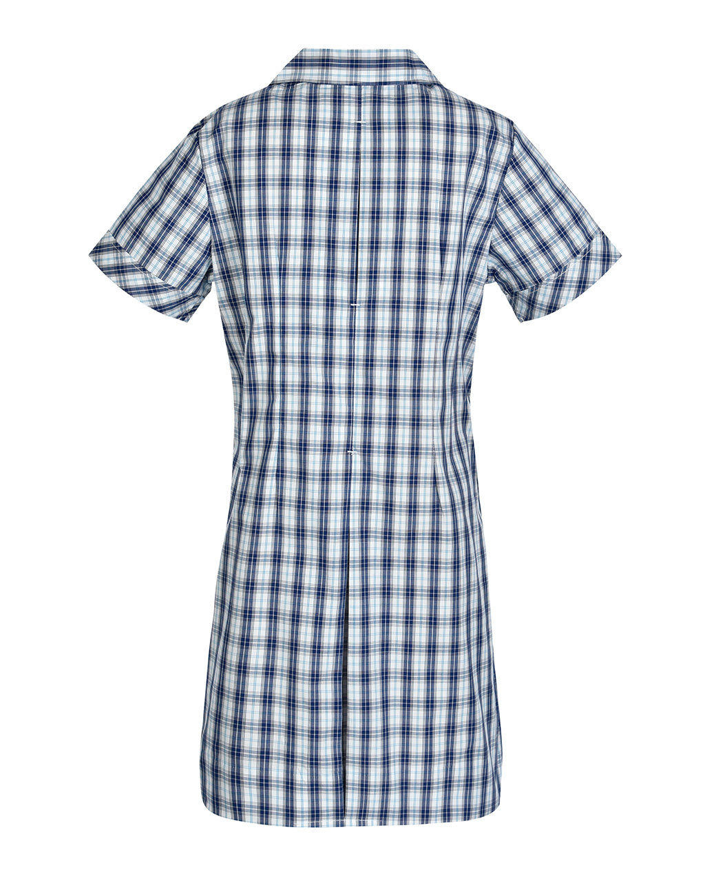 Semi Fit Darted Dress