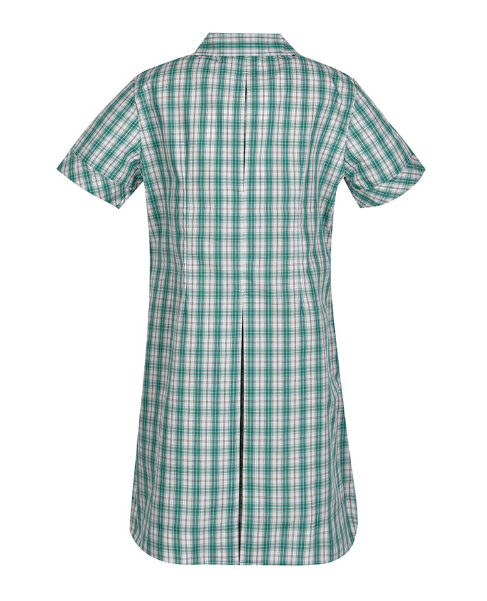 Semi Fit Darted Dress