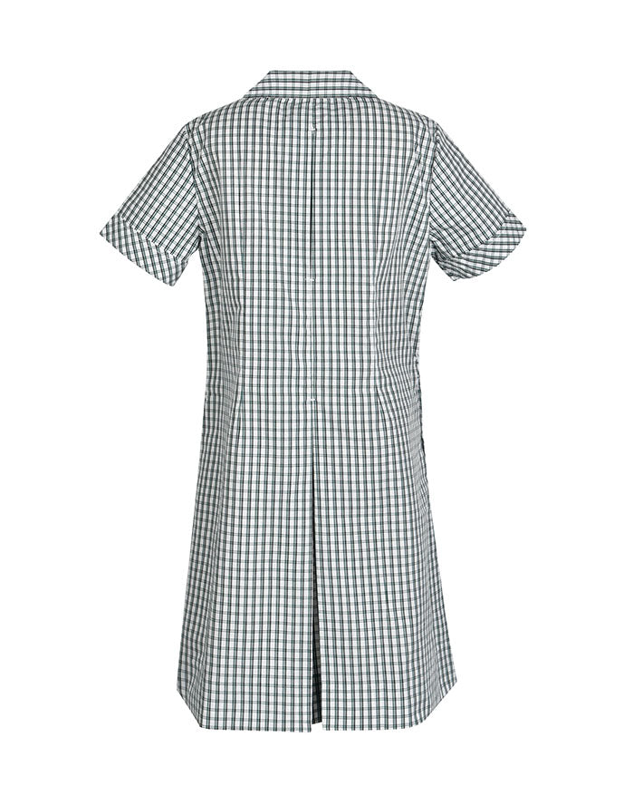 Semi Fit Darted Dress