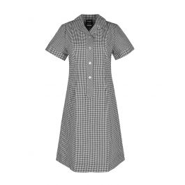 Semi Fit Darted Dress
