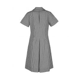 Semi Fit Darted Dress