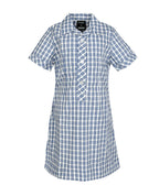Semi Fit Darted Dress