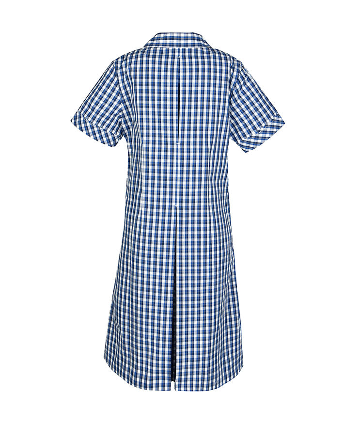 Semi Fit Darted Dress