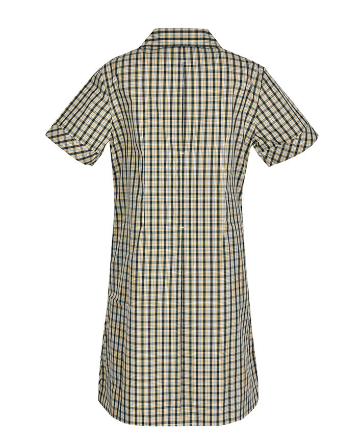 Semi Fit Darted Dress