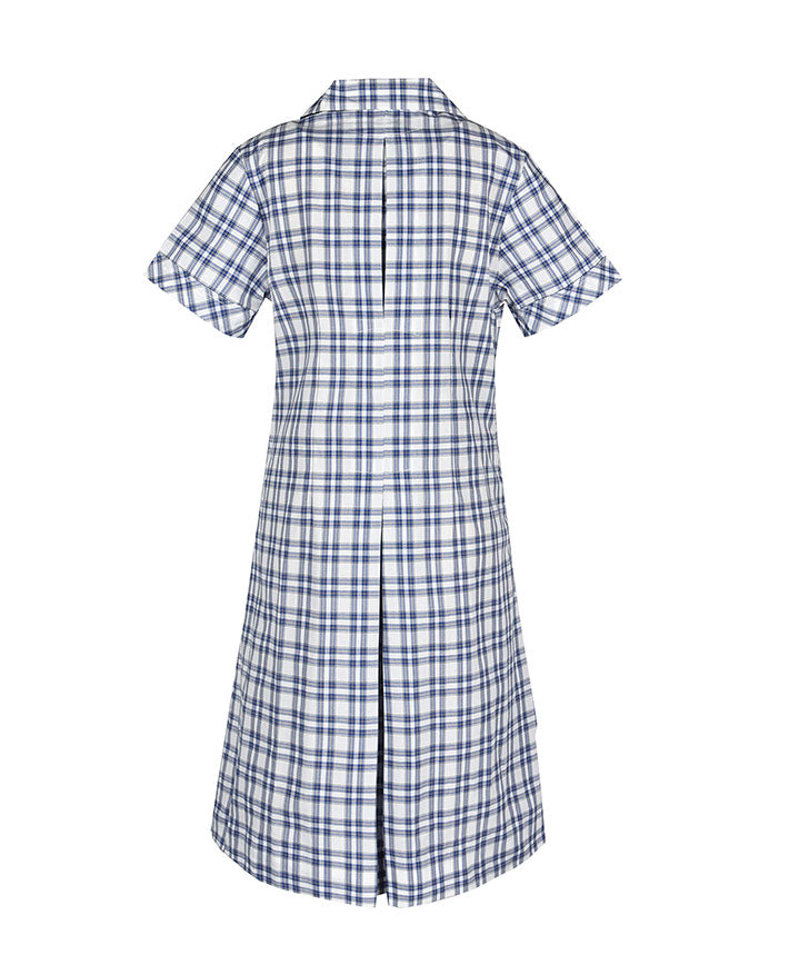 Semi Fit Darted Dress