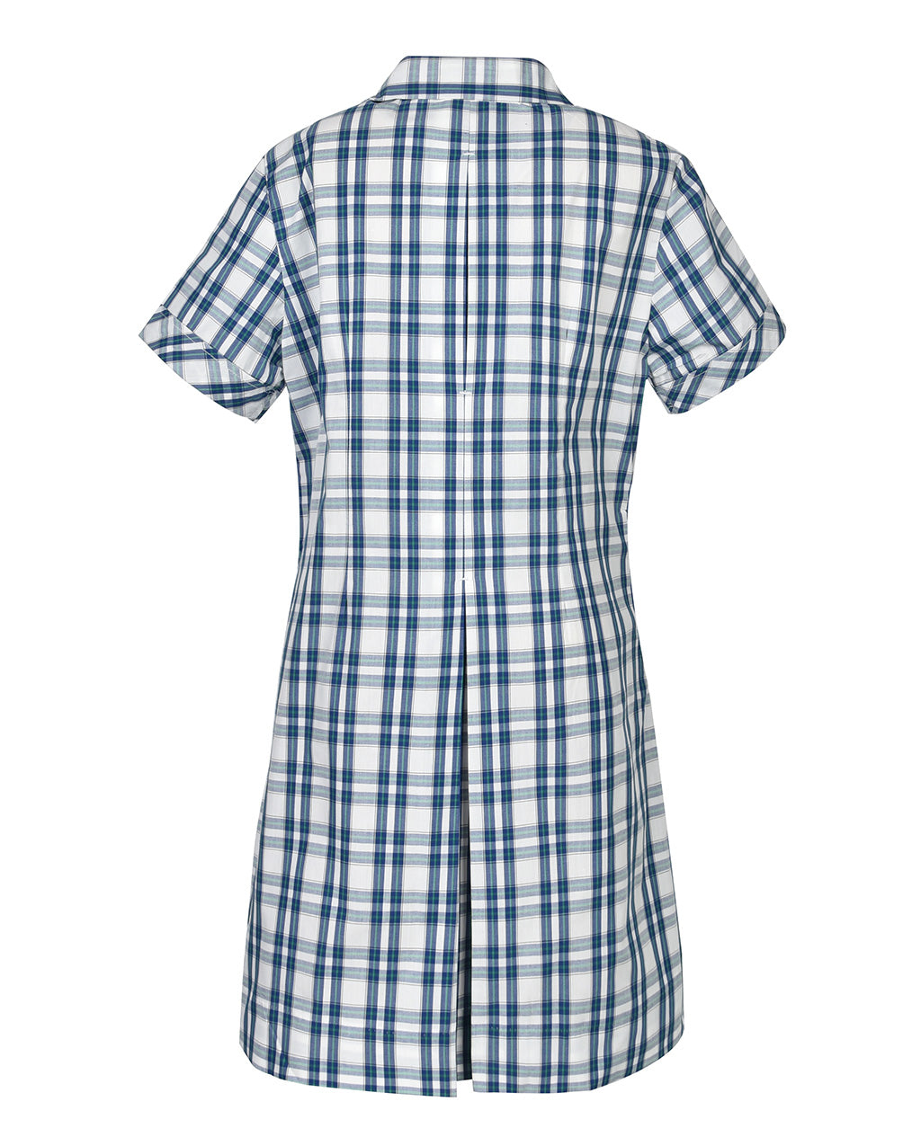 Semi Fit Darted Dress