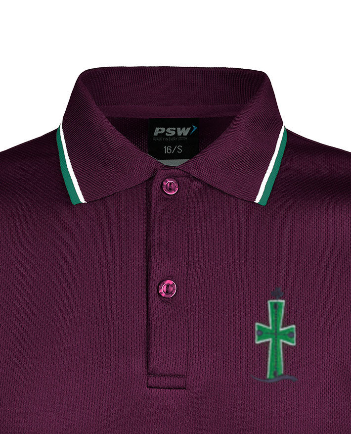 Long Sleeve Mesh Polo