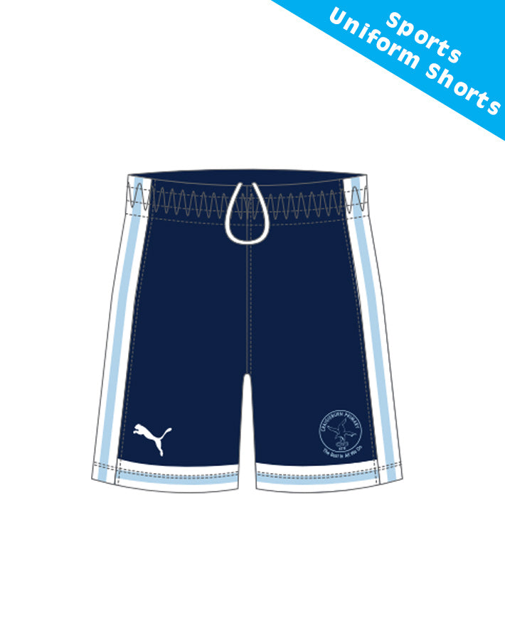 Puma Sublimated Sports Short