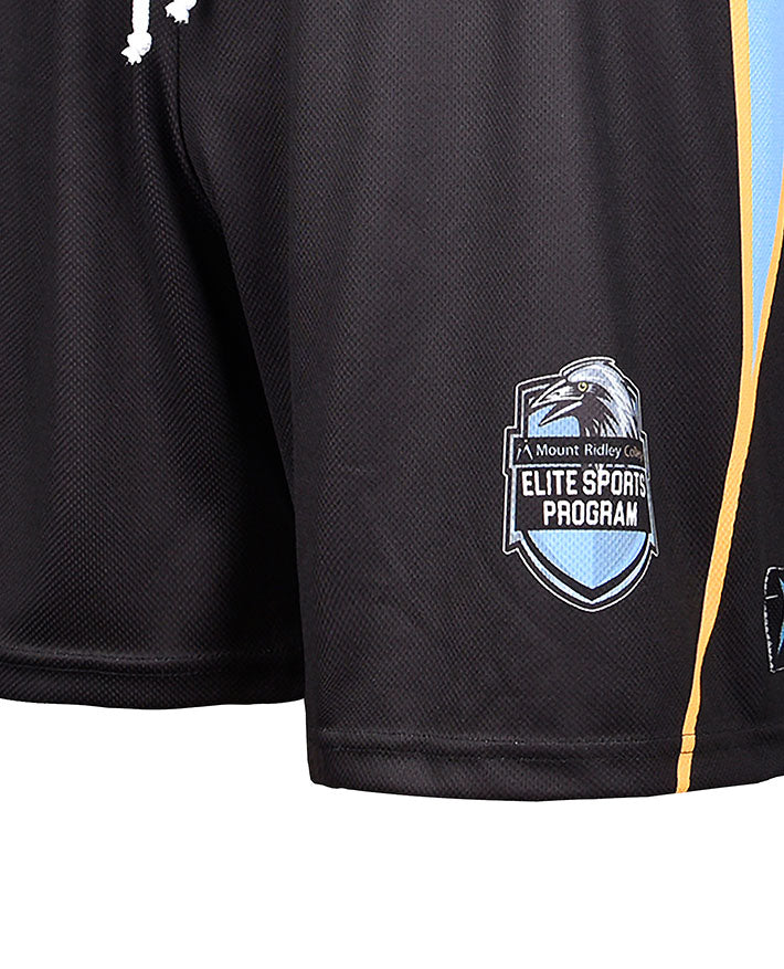 Sublimated Basketball Mesh Shorts