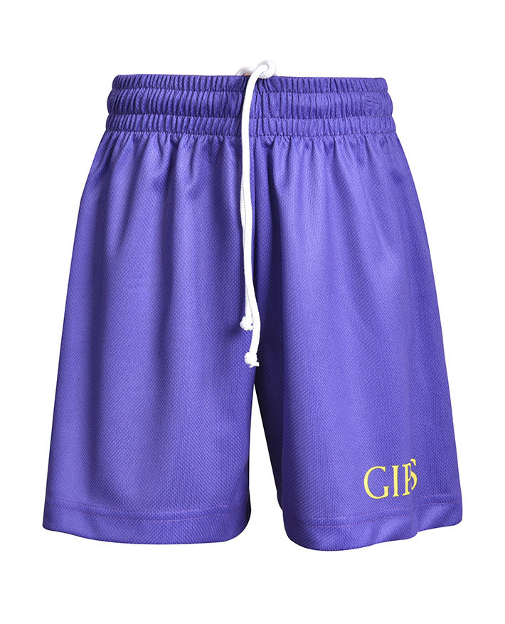 Sublimated Basketball Mesh Shorts